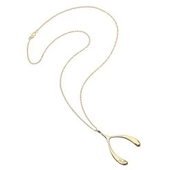 Z - Lucky Gold Wishbone Pendant 9 Z - Lucky Gold Wishbone Pendant -Fashion Clothing Shop 12 9e71db38 9bc9 4394 8899 e164162669a1